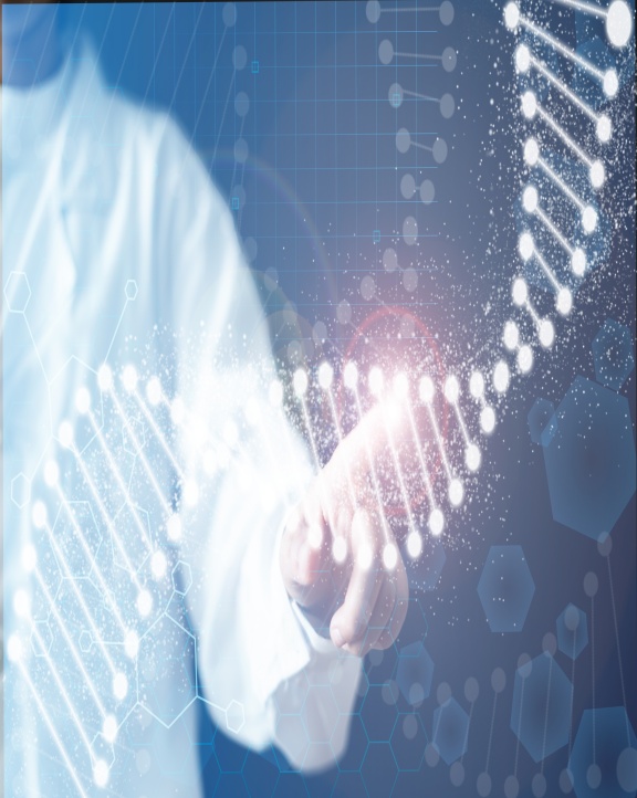 進(jìn)口代理服務(wù)流程